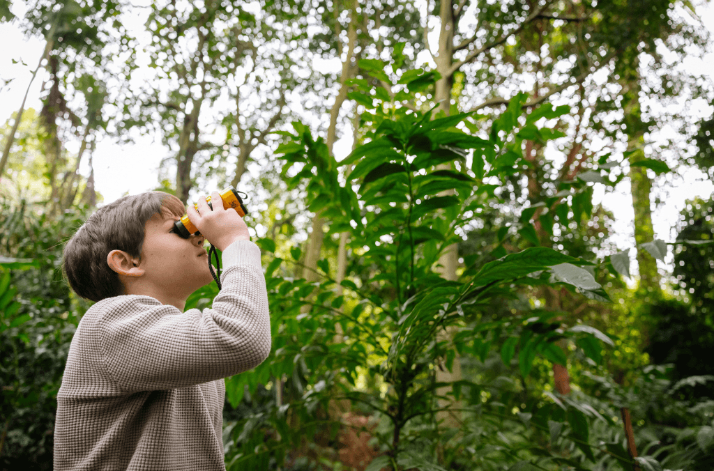 events-wildlife-expolorer-kid-looking-at-trees-1024x676.png