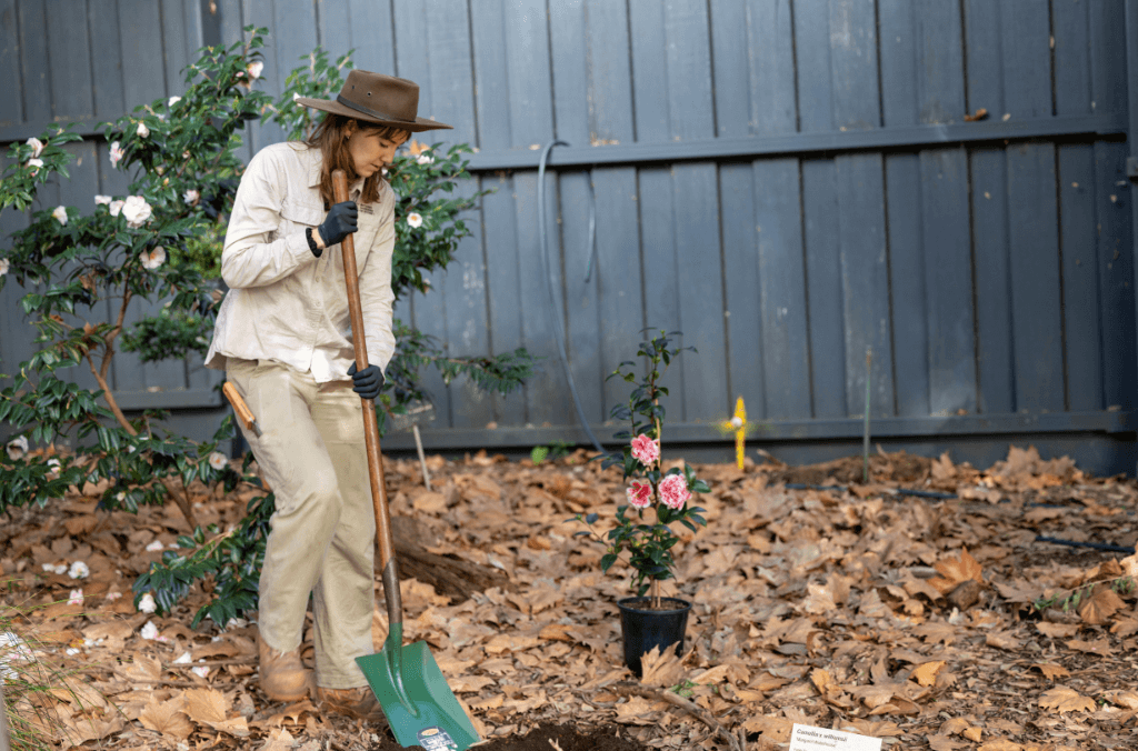 a woman carrying a shovel looking down at a plant