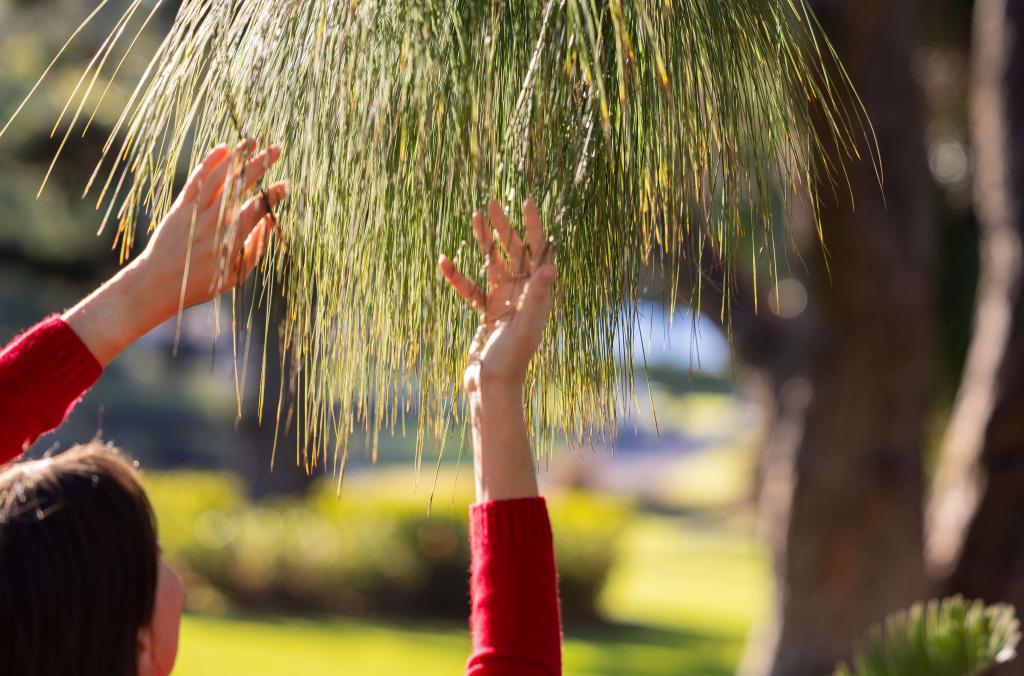 Woman touching tree leaves
