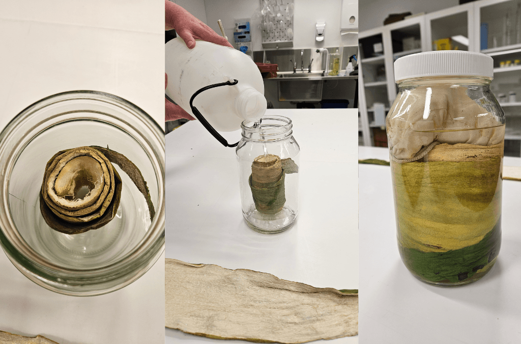 a jar with plant material in it 